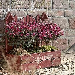 《街头霸王5》风间晶角色预告 展示角色招式特色